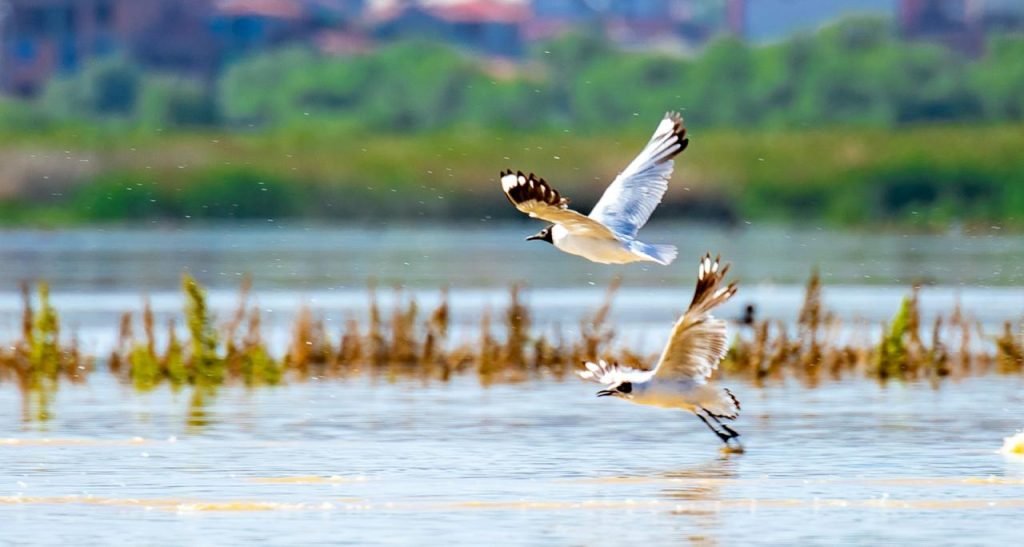 LA LAGUNA ALALAY RECUPERA SU CAUDAL EN UN 88 POR CIENTO 2 WhatsApp Image 2025 01 24 at 13.53.26