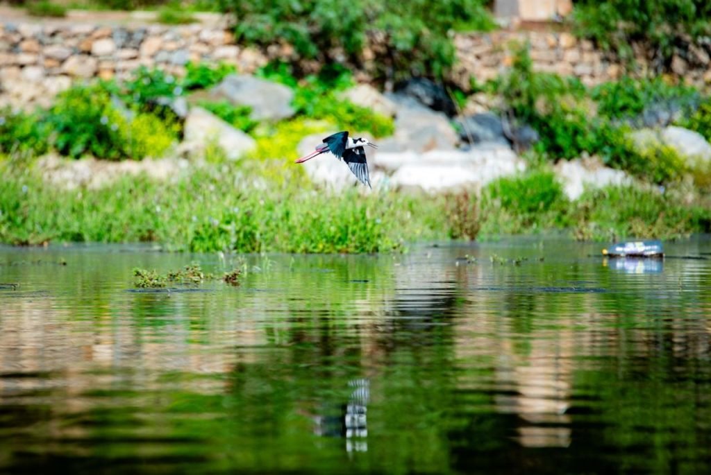 LA LAGUNA ALALAY RECUPERA SU CAUDAL EN UN 88 POR CIENTO 3 WhatsApp Image 2025 01 24 at 13.53.27