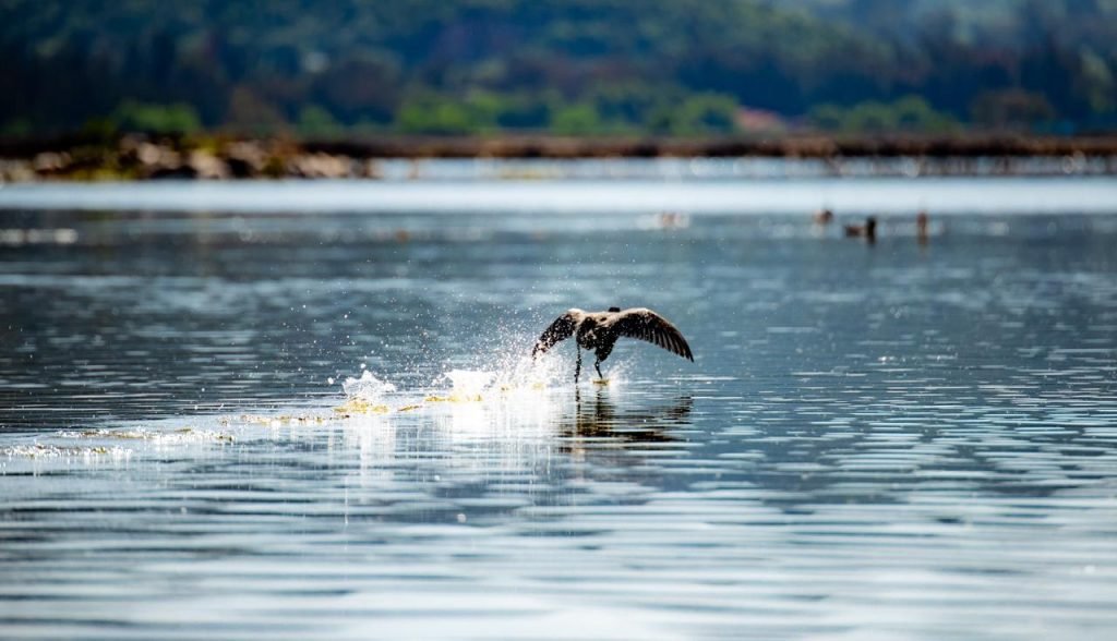 LA LAGUNA ALALAY RECUPERA SU CAUDAL EN UN 88 POR CIENTO 4 WhatsApp Image 2025 01 24 at 13.53.28