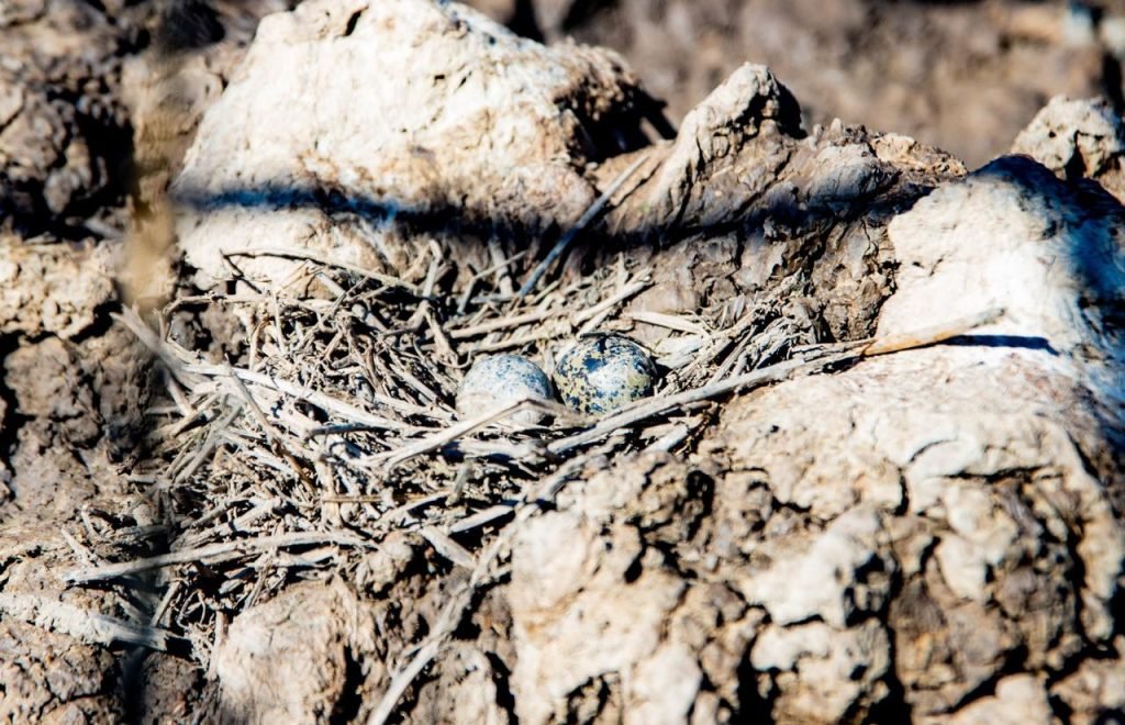 LA LAGUNA ALALAY RECUPERA SU CAUDAL EN UN 88 POR CIENTO 5 WhatsApp Image 2025 01 24 at 13.53.29 1