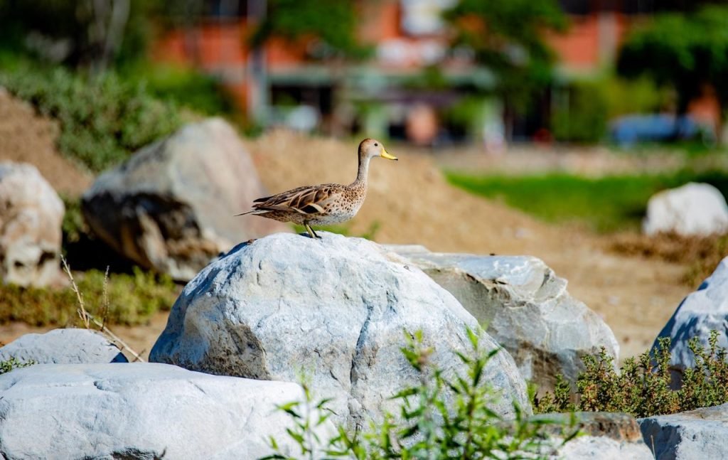 LA LAGUNA ALALAY RECUPERA SU CAUDAL EN UN 88 POR CIENTO 6 WhatsApp Image 2025 01 24 at 13.53.29