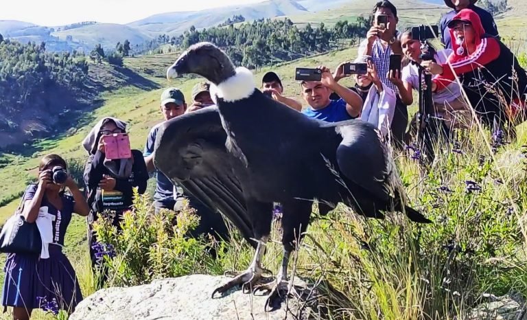 WhatsApp Image 2025 02 04 at 19.42.19