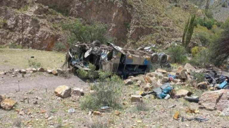 WhatsApp Image 2025 02 17 at 20.37.12