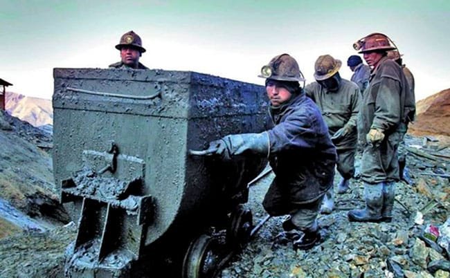 WhatsApp Image 2025 02 28 at 15.23.37