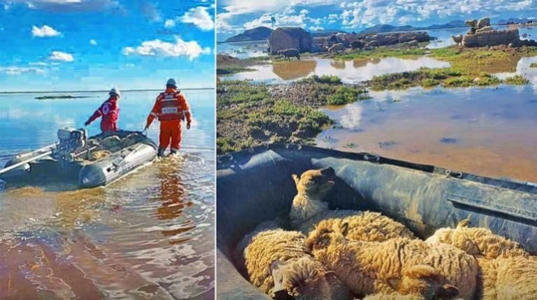 WhatsApp Image 2025 03 25 at 13.14.36