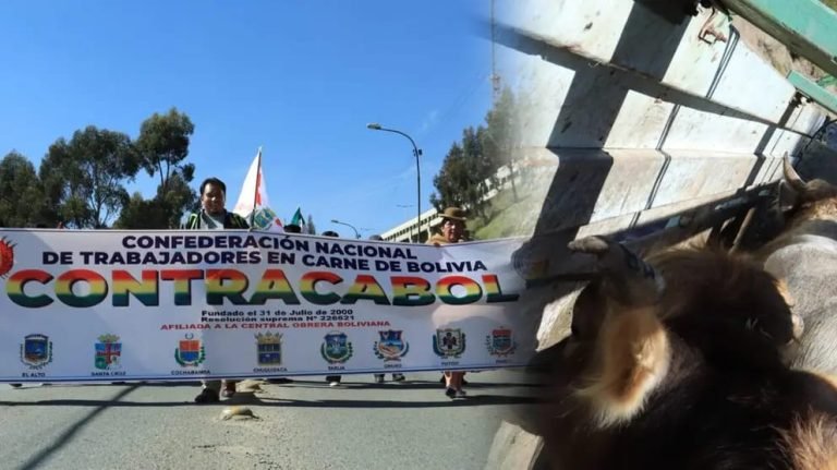 WhatsApp Image 2025 04 10 at 14.52.03