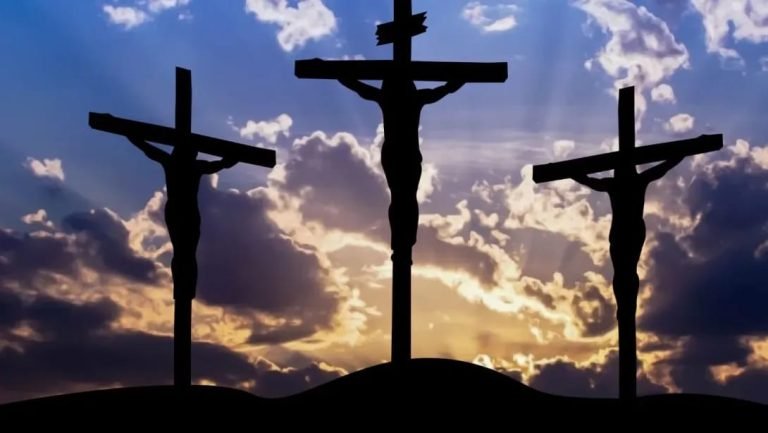 WhatsApp Image 2025 04 17 at 06.43.31