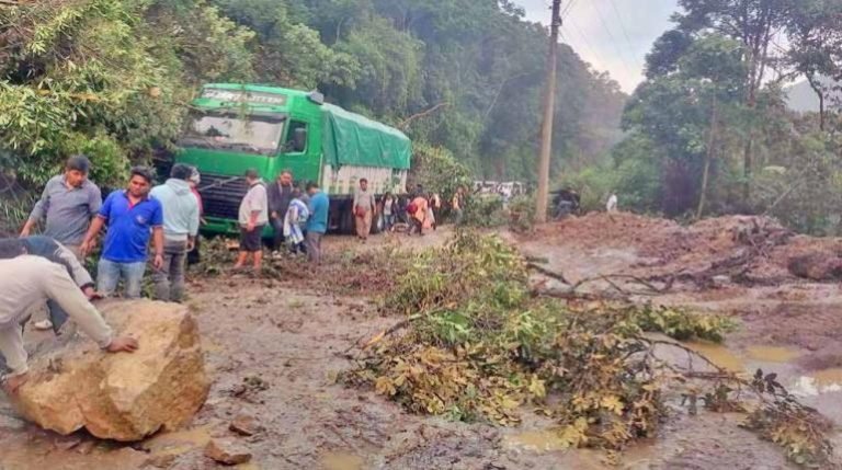 WhatsApp Image 2025 04 29 at 14.16.48