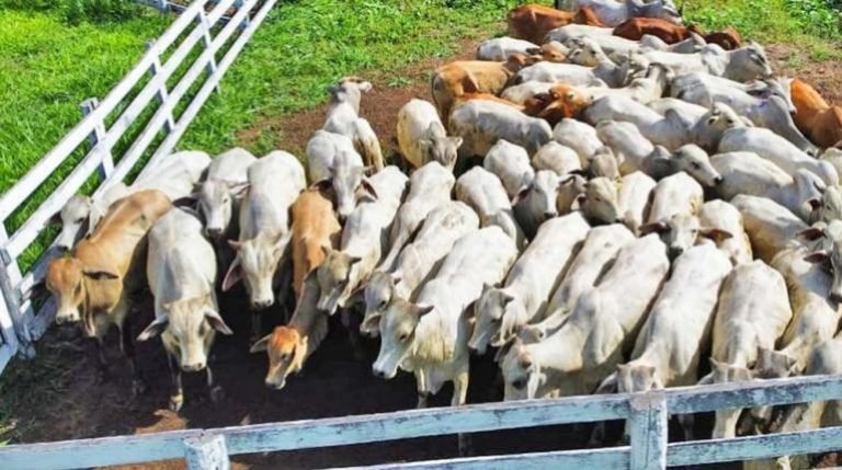 WhatsApp Image 2025 04 30 at 14.10.55