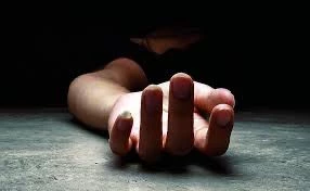 c3603676 6d8d 4b2c 8cd6 a357c30dd452 1735828593