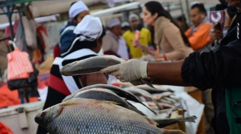 cbdf9dd2 c3e5 4d53 95fa 1901c5287a87 copia