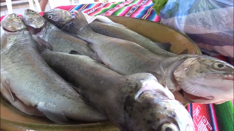 Captura de pantalla 2025 05 21 155822