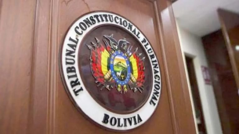 WhatsApp Image 2025 05 23 at 15.49.09