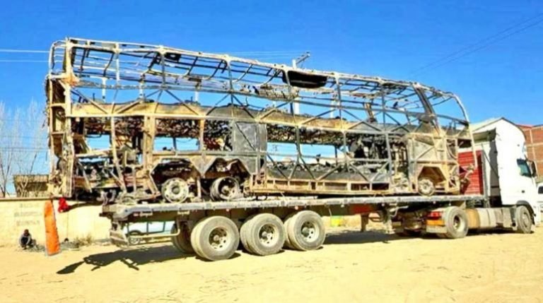 Imagen de WhatsApp 2025 06 18 a las 17.36.27 3518fe79