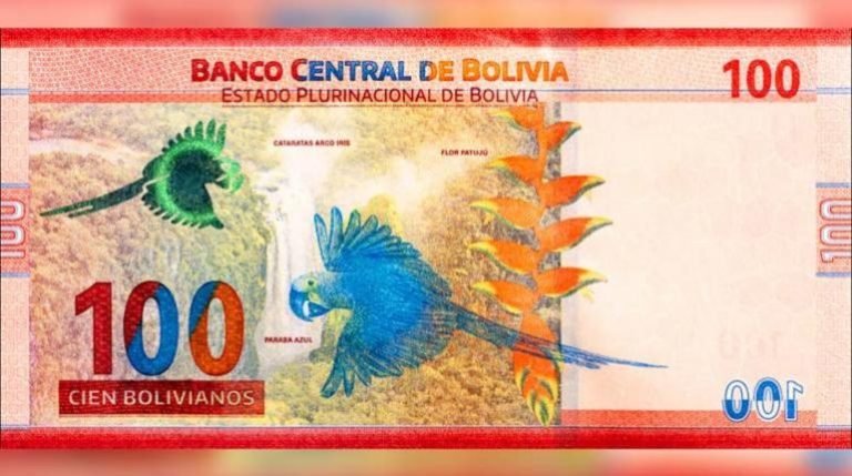 WhatsApp Image 2025 06 03 at 16.02.50