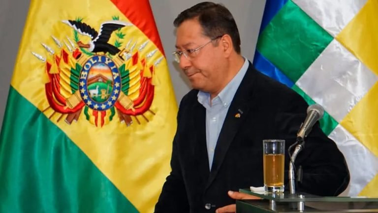 WhatsApp Image 2025 06 04 at 14.54.48