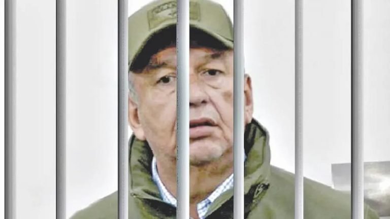 WhatsApp Image 2025 06 09 at 15.02.56