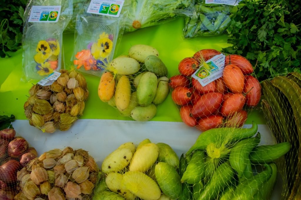 WhatsApp Image 2025 06 17 at 09.15.10