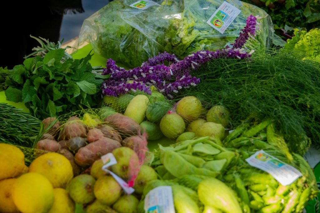 WhatsApp Image 2025 06 17 at 09.15.12 1