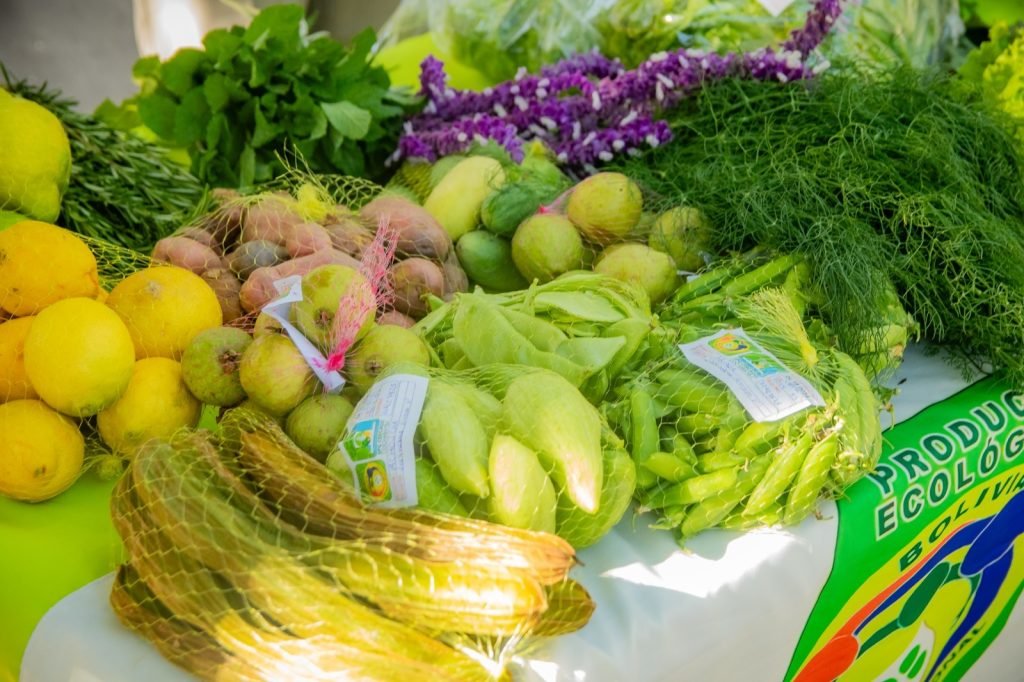 WhatsApp Image 2025 06 17 at 09.15.13