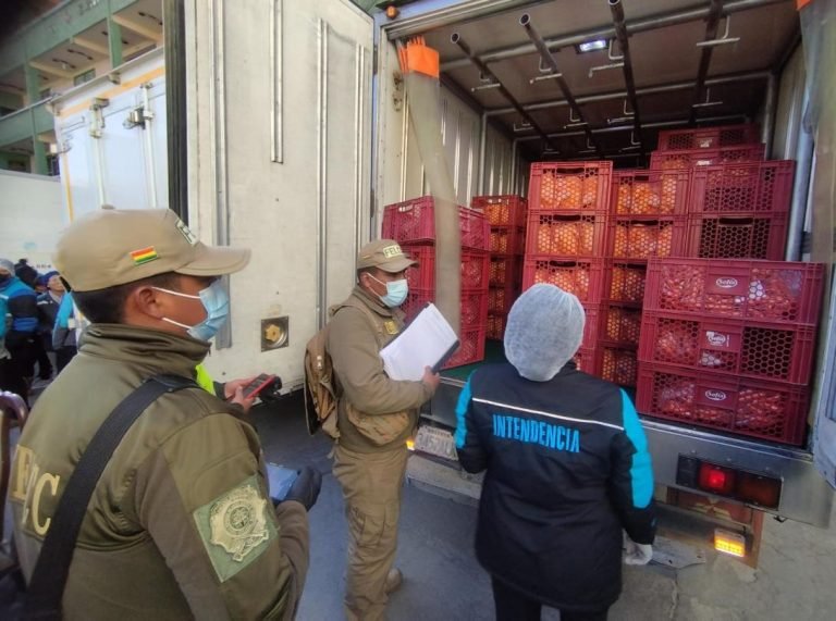 WhatsApp Image 2025 06 30 at 14.55.35