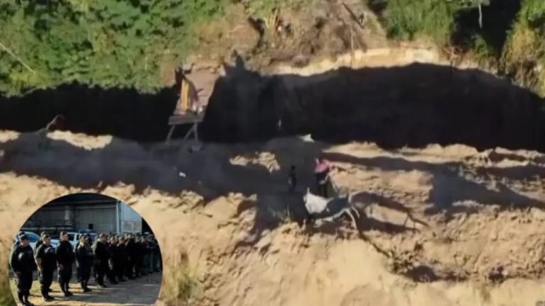 Imagen de WhatsApp 2025 07 11 a las 13.44.56 61e0317b