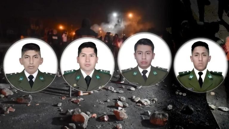 Imagen de WhatsApp 2025 07 14 a las 20.43.18 e6020b3d