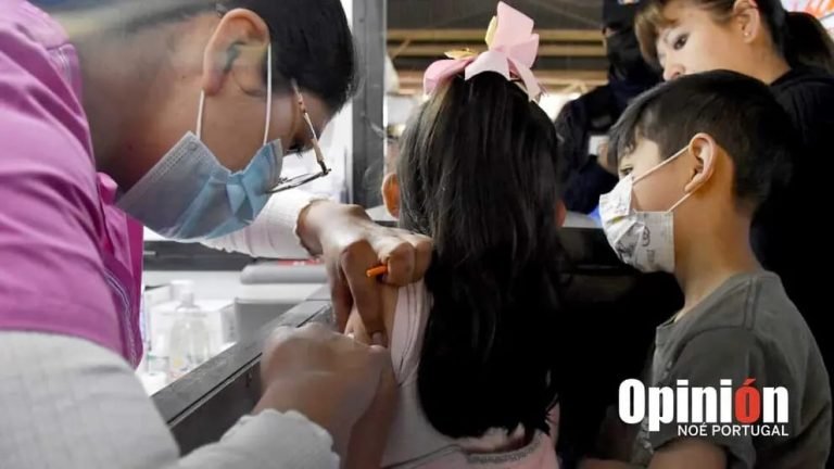 WhatsApp Image 2025 07 08 at 07.29.10