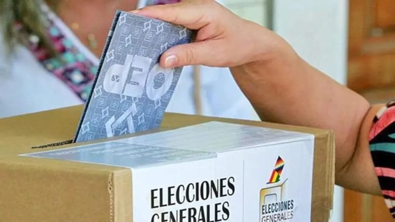 WhatsApp Image 2025 07 25 at 13.29.00