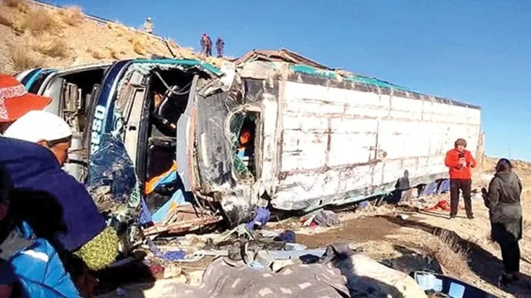 WhatsApp Image 2025 07 28 at 14.31.05