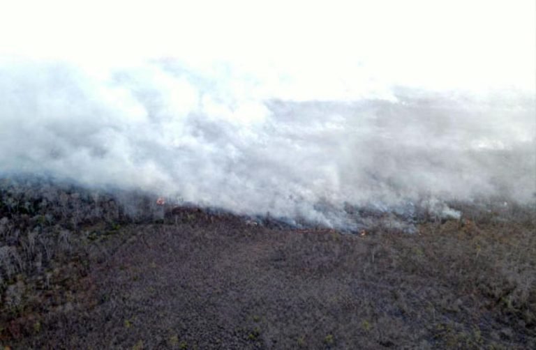 WhatsApp Image 2025 08 01 at 15.12.23