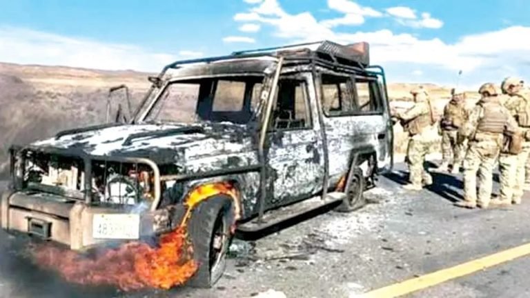 WhatsApp Image 2025 08 05 at 12.28.19