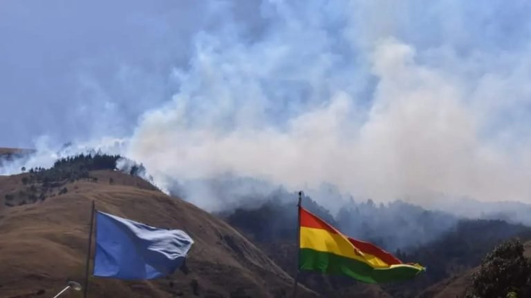 WhatsApp Image 2025 08 20 at 13.03.11