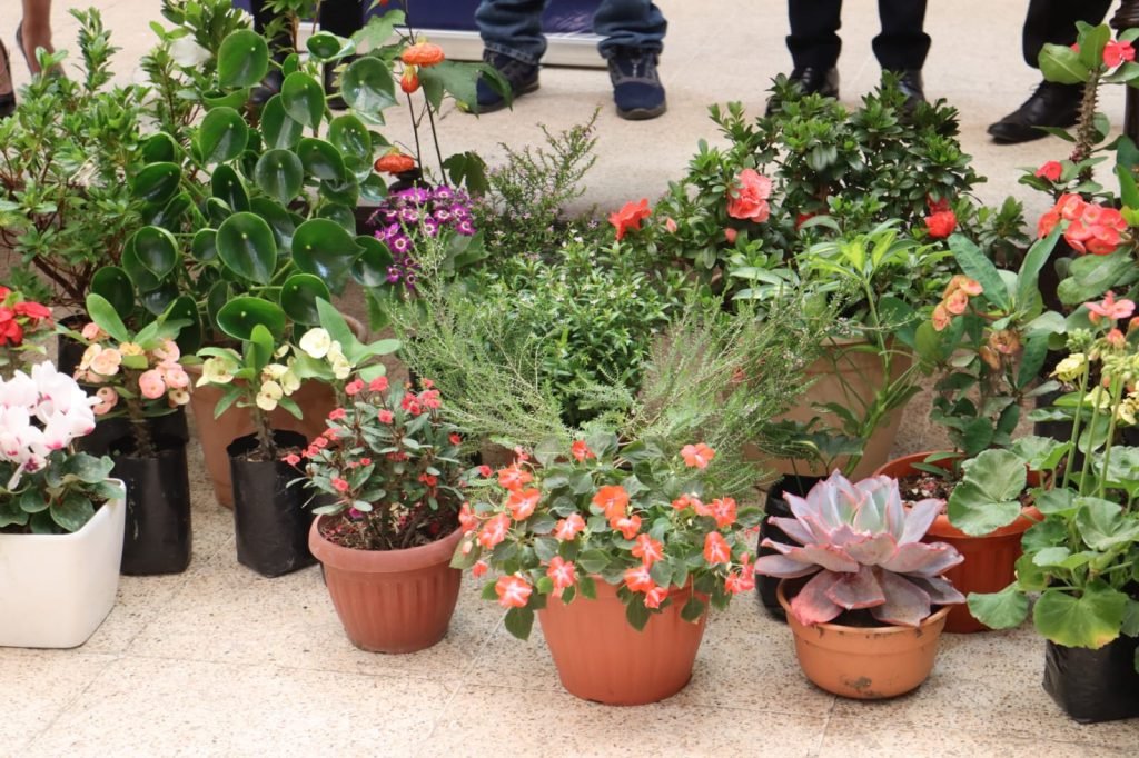 SACABA INVITA A LA FERIA DE LAS FLORES Y PLANTAS ESTE FIN DE SEMANA EN EL DISTRITO 2 QUINTANILLA 2 Imagen de WhatsApp 2025 09 10 a las 18.22.28 c44005da