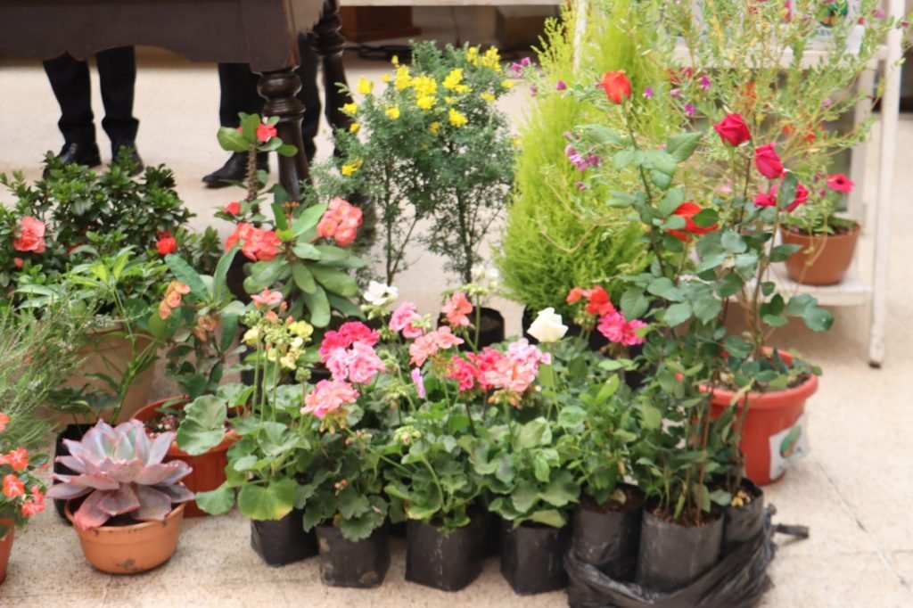 SACABA INVITA A LA FERIA DE LAS FLORES Y PLANTAS ESTE FIN DE SEMANA EN EL DISTRITO 2 QUINTANILLA 10 Imagen de WhatsApp 2025 09 10 a las 18.22.28 c708fa63