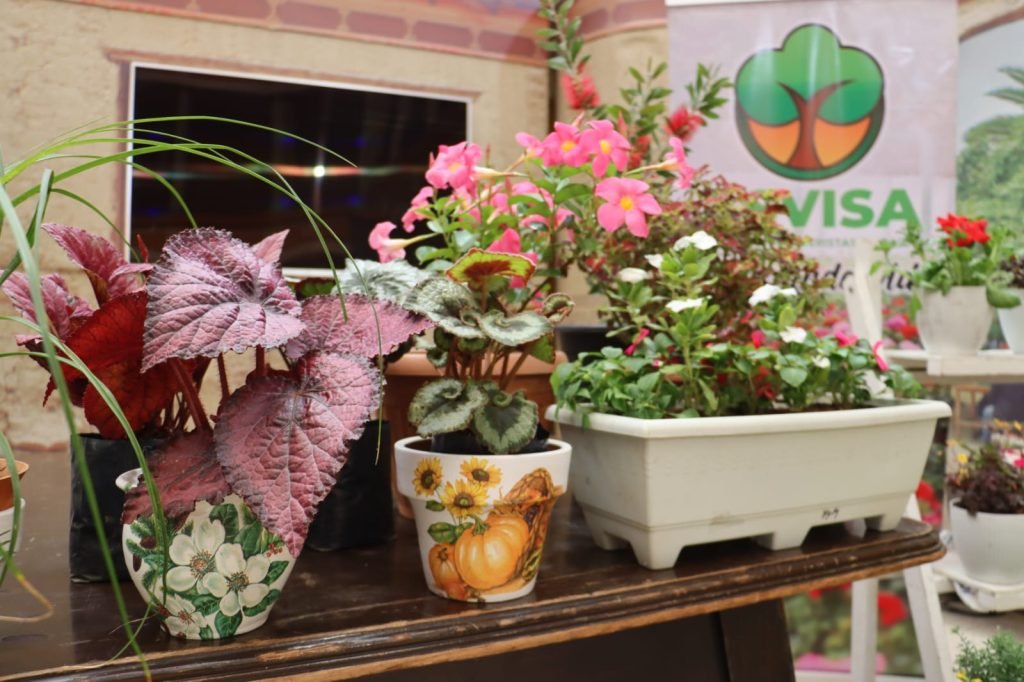 SACABA INVITA A LA FERIA DE LAS FLORES Y PLANTAS ESTE FIN DE SEMANA EN EL DISTRITO 2 QUINTANILLA 6 Imagen de WhatsApp 2025 09 10 a las 18.22.30 2a89078f