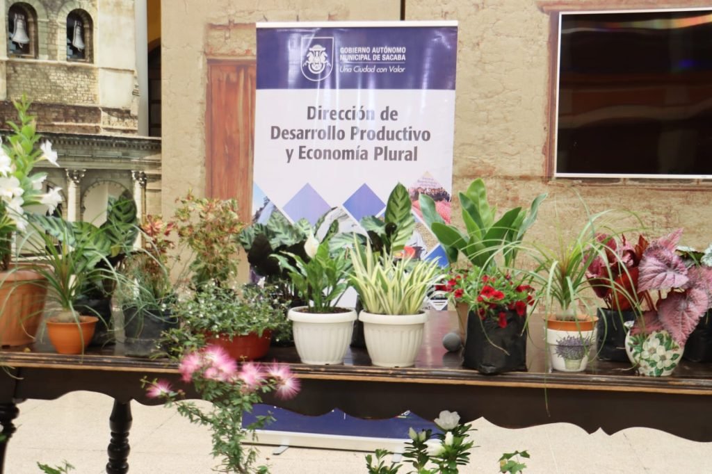 SACABA INVITA A LA FERIA DE LAS FLORES Y PLANTAS ESTE FIN DE SEMANA EN EL DISTRITO 2 QUINTANILLA 7 Imagen de WhatsApp 2025 09 10 a las 18.22.30 35a2cbbd