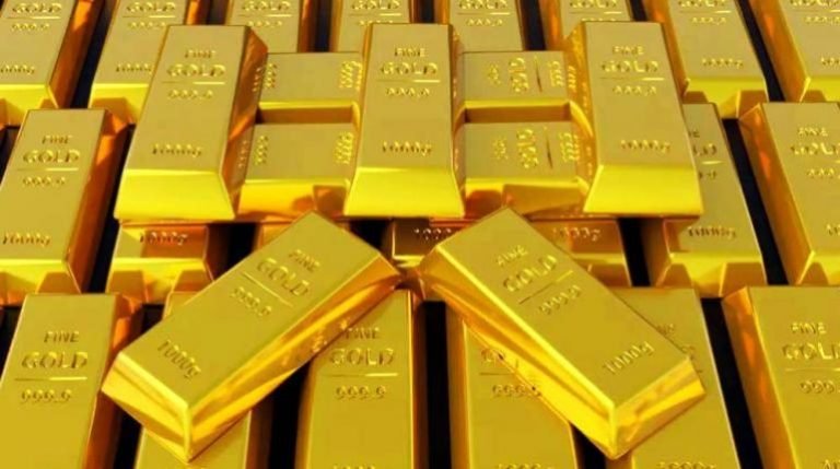 WhatsApp Image 2025 09 11 at 13.12.56