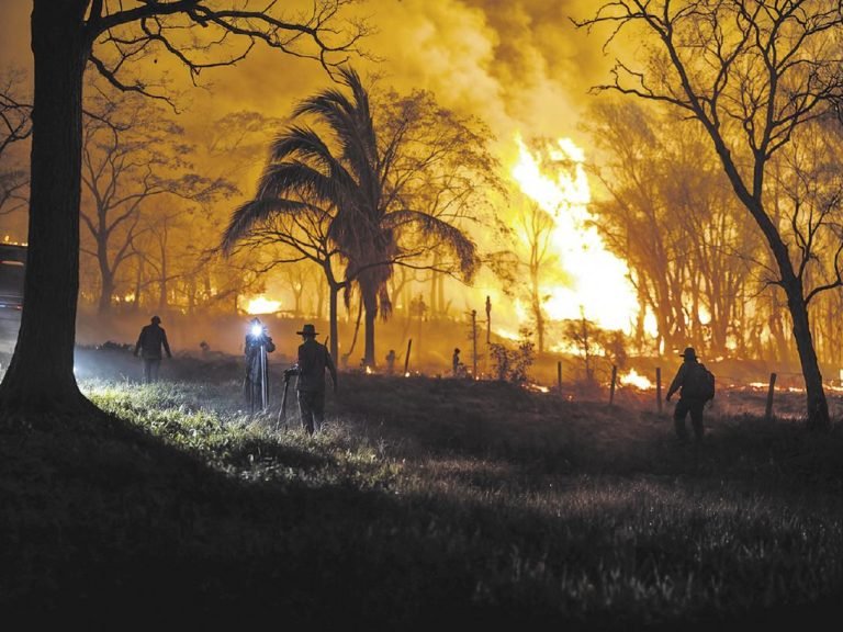 WhatsApp Image 2025 09 11 at 13.22.06