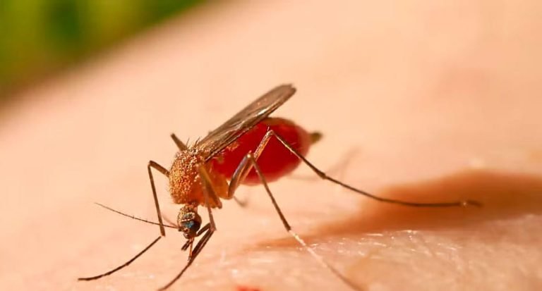 WhatsApp Image 2025 09 23 at 13.48.06