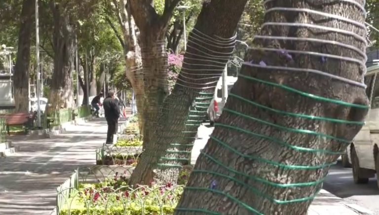 WhatsApp Image 2025 10 15 at 8.05.29 PM e1760573208843