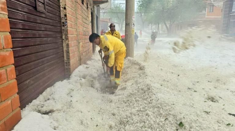 WhatsApp Image 2025 10 17 at 5.47.05 PM