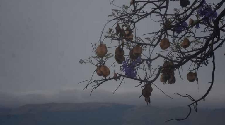 WhatsApp Image 2025 11 04 at 14.24.54