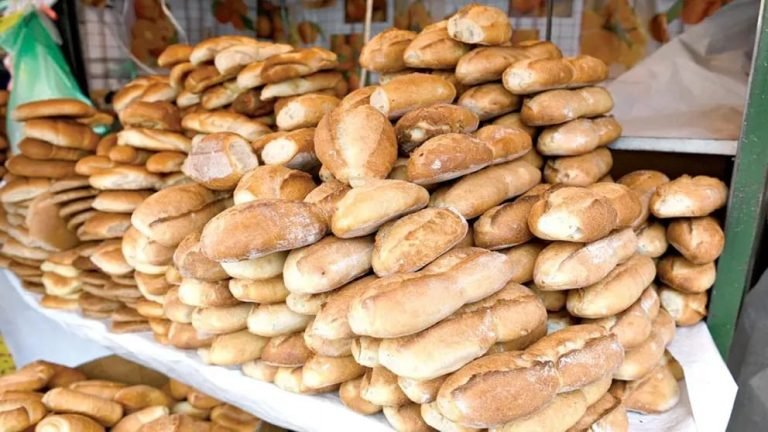 WhatsApp Image 2025 11 26 at 3.19.00 PM 1