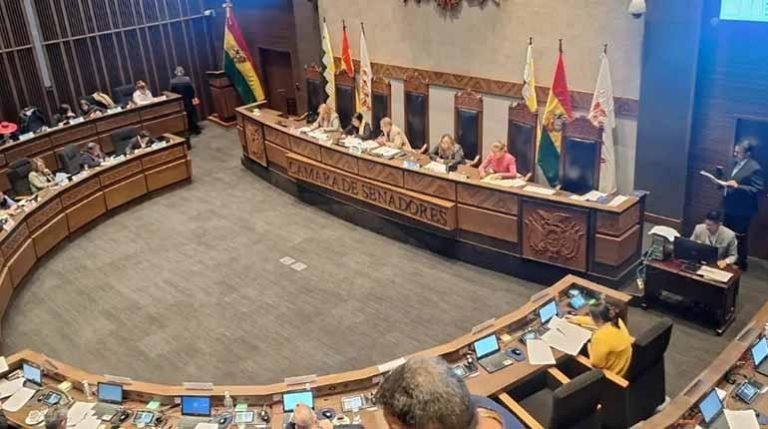 SENADO SANCIONA LA LEY DE ELECCIÓN DE VOCALES DEL TSE; SE ESPERA QUE PAZ REALICE LA PROMULGACIÓN 4 IMG 20251202 WA0024